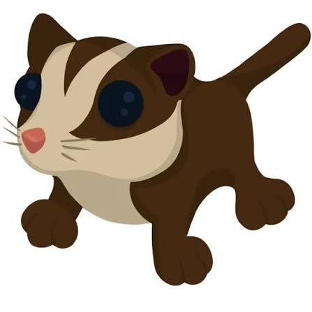 Mega Sugar Glider